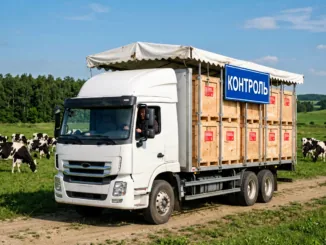 Перевозка школьников на автобусе