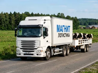 Доставка грузов в Беларусь: особенности и нюансы