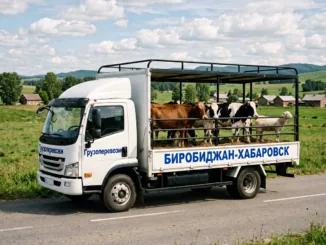 Грузоперевозки Биробиджан-Хабаровск: все, что нужно знать